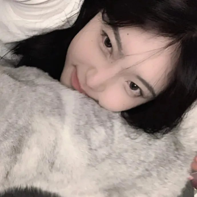 声宝喜相逢粤语