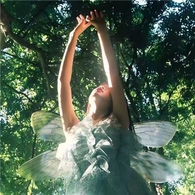 致所有我曾爱过的男孩2